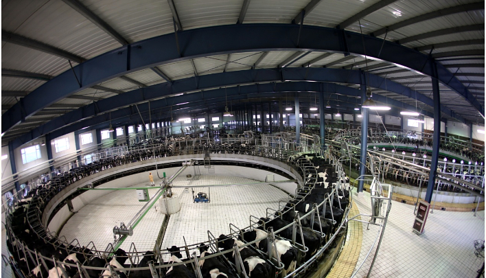 China está multiplicando su producción láctea con la construcción de macrogranjas en la zona norte del país