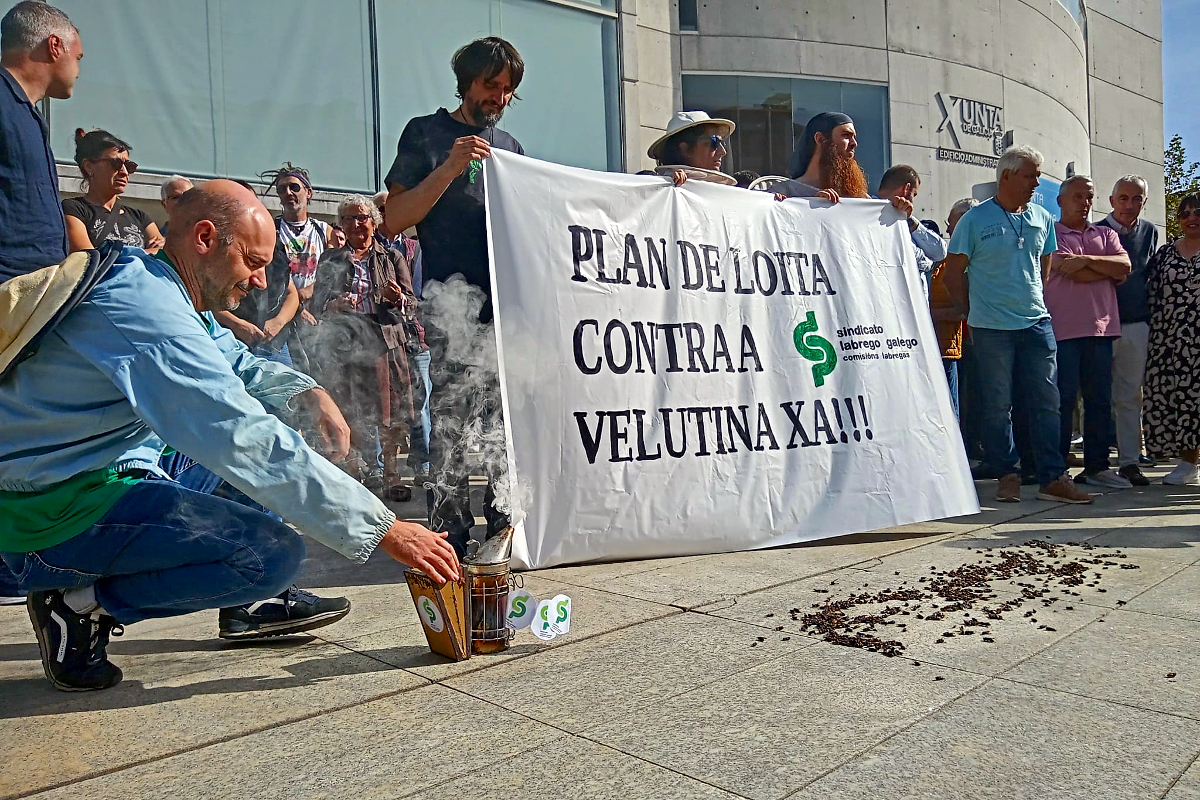 Un momento da manifestación deste mércores en Lugo para esixir á Xunta un Plan Galego contra a Vespa Velutina