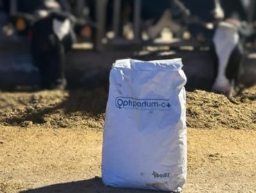 Optipartum C+: A encima que permite aumentar 2 litros por vaca a produción de leite….sen cambiar a ración