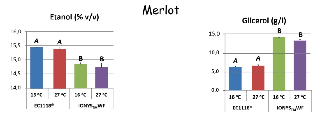 Reducción de grado alcohólico en Merlot.