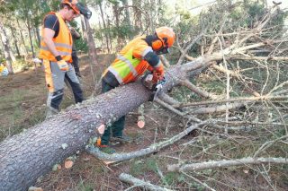 Aprender a través de xogos para reducir os accidentes no sector forestal, unha nova técnica que se implanta con éxito en Galicia