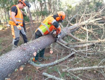Aprender a través de xogos para reducir os accidentes no sector forestal, unha nova técnica que se implanta con éxito en Galicia