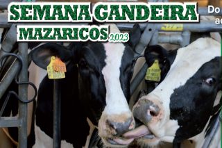 Mazaricos celebra a Semana Gandeira entre o 27 de novembro e o 3 de decembro