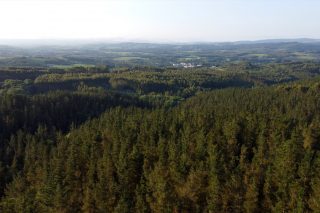 Sae a información pública o proxecto para regular os créditos de carbono forestais en Galicia