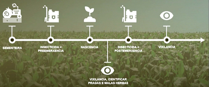 protocolo control pragas e malas herbas cultivo millo
