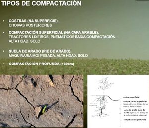 tipos de compactación do solo