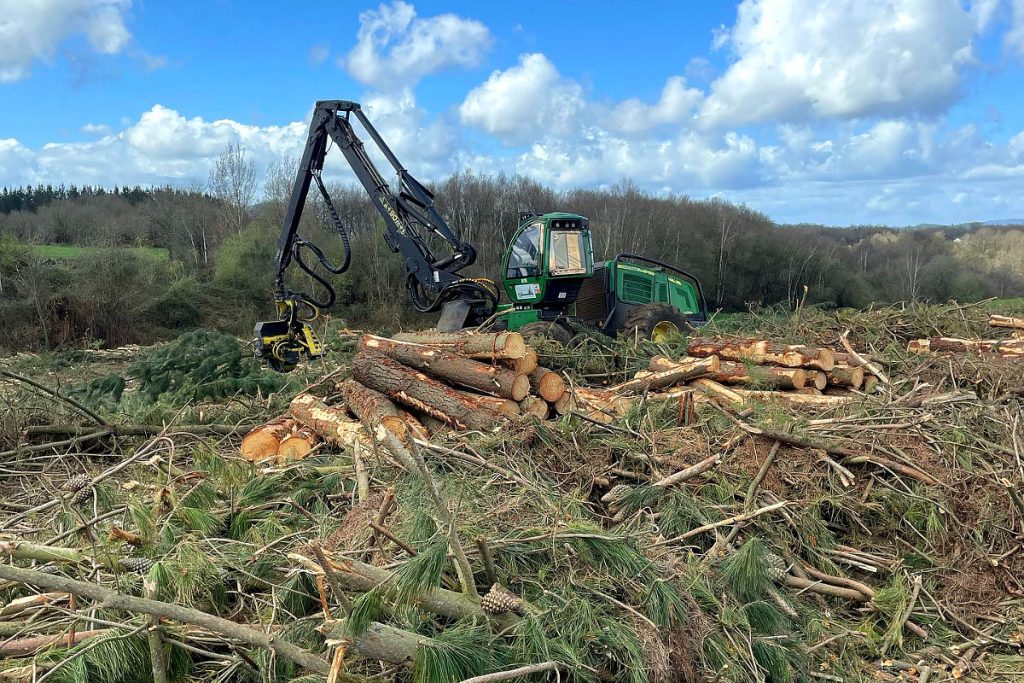 TRANSFORMACIONES GALICIA (O Corgo) corta madeira biomasa