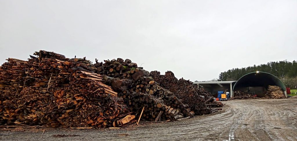 Zona de presecado da madeira para estelar nas instalacións de Transformaciones Galicia en Lapio