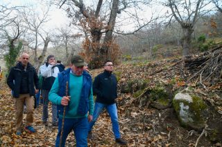 Créanse dúas novas agrupacións forestais de xestión conxunta no concello ourensán do Bolo 