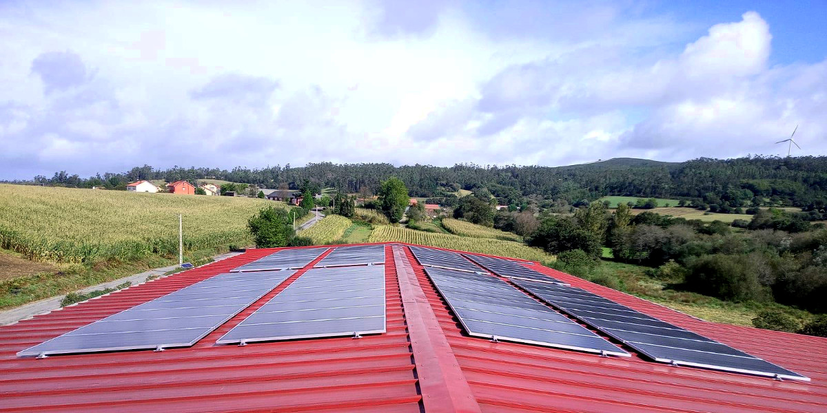 Placas solares instaladas no teito da nave de produción da explotación