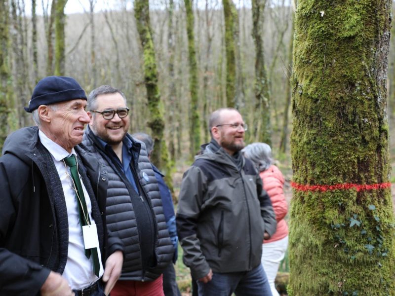 Arrancan en Galicia as entresacas de carballos, castiñeiros e bidueiros para usos de valor
