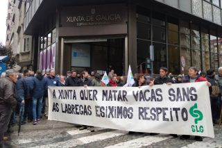 Concentración en Ourense para esixirlle á Xunta que non sacrifique as vacas sans nas ganderías con positivos por tuberculose
