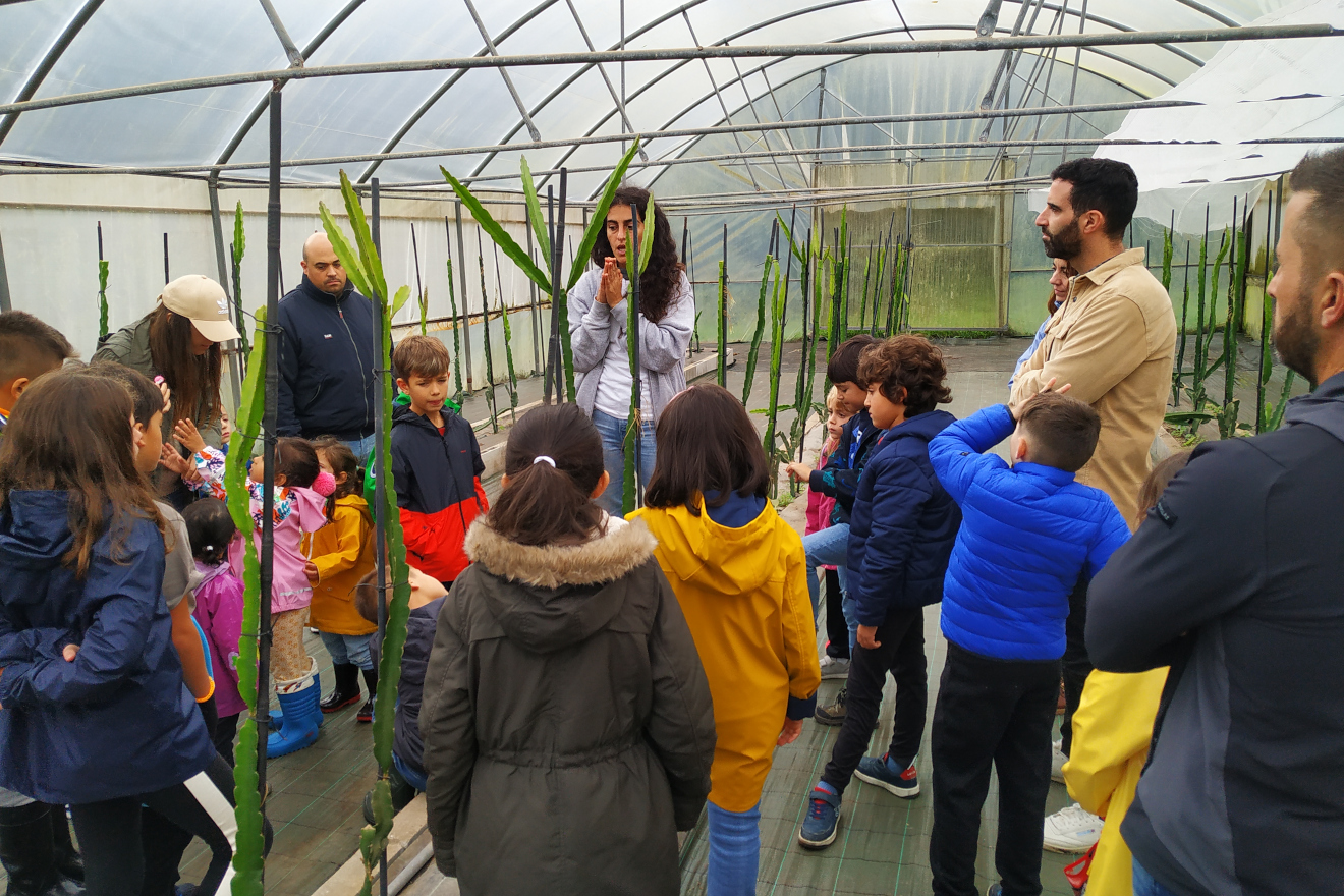 El programa «De la escuela a la granja», de la Diputación de Lugo, sigue creciendo con una tercera edición