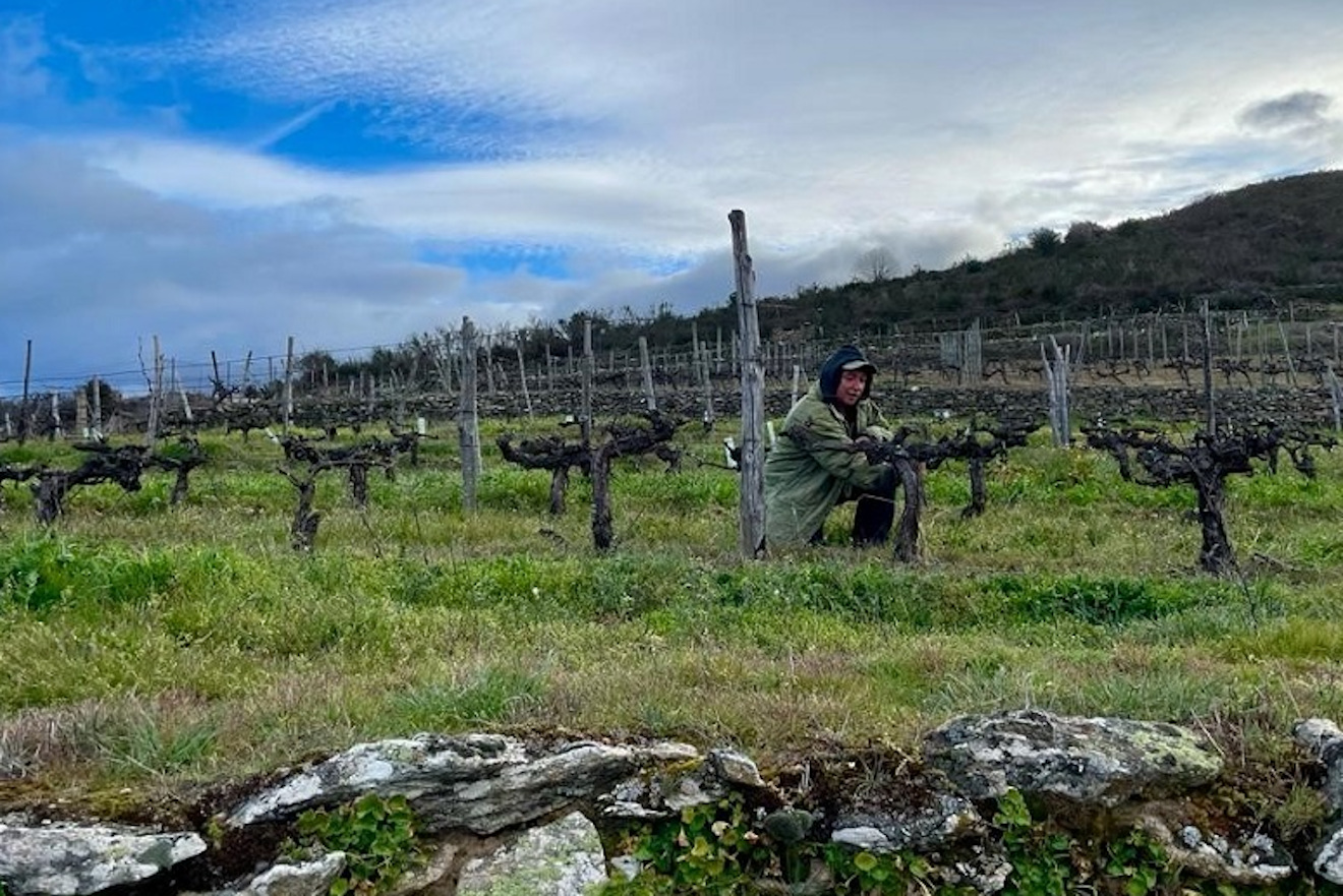 Raquel podando sus viñas. Foto: CRDO Valdeorras
