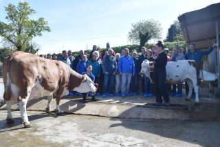 Gandeiros austríacos visitan Galicia para coñecer o seu sector lácteo