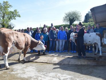 Gandeiros austríacos visitan Galicia para coñecer o seu sector lácteo