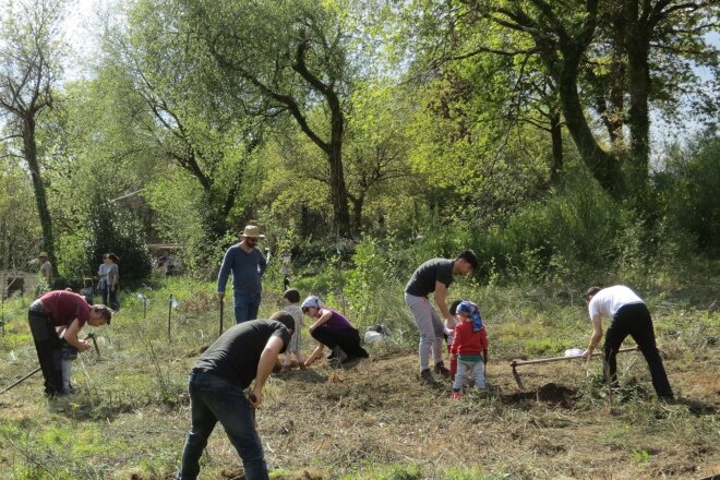 Xornadas de voluntariado no Barbanza para eliminar acacias e plantar frondosas