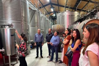 'Primavera de portas abertas' nas adegas que conforman as Rutas do Viño de Galicia
