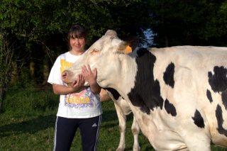 “Hoxe temos un grave problema nas ganderías de leite: eliminamos moitas vacas porque non empreñan”