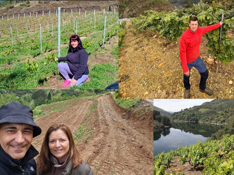 O renacer da viticultura nas ribeiras do Navia: Experiencias de 3 novos produtores