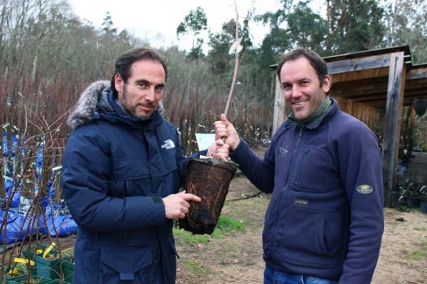 El potencial de los bosques gallegos para la producción de hongos es enorme  y ayudaría a recuperar el rural” - Campo Galego
